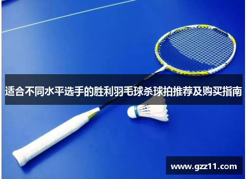 适合不同水平选手的胜利羽毛球杀球拍推荐及购买指南